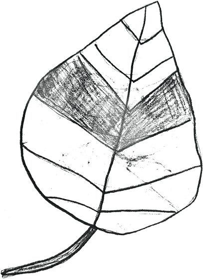Decorative Element Leaf
