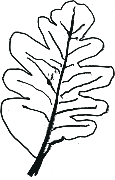 Decorative Element Leaf